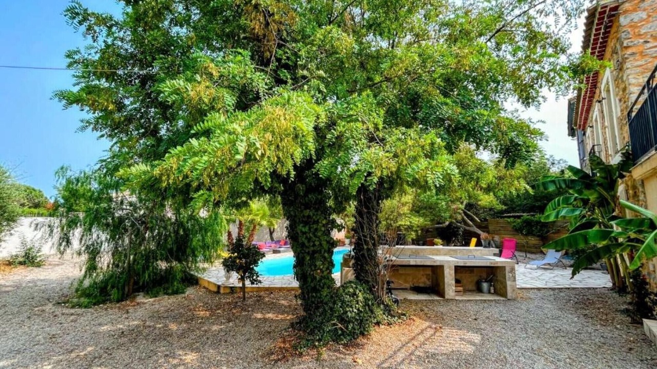 Photo of Outdoor in Le Somail