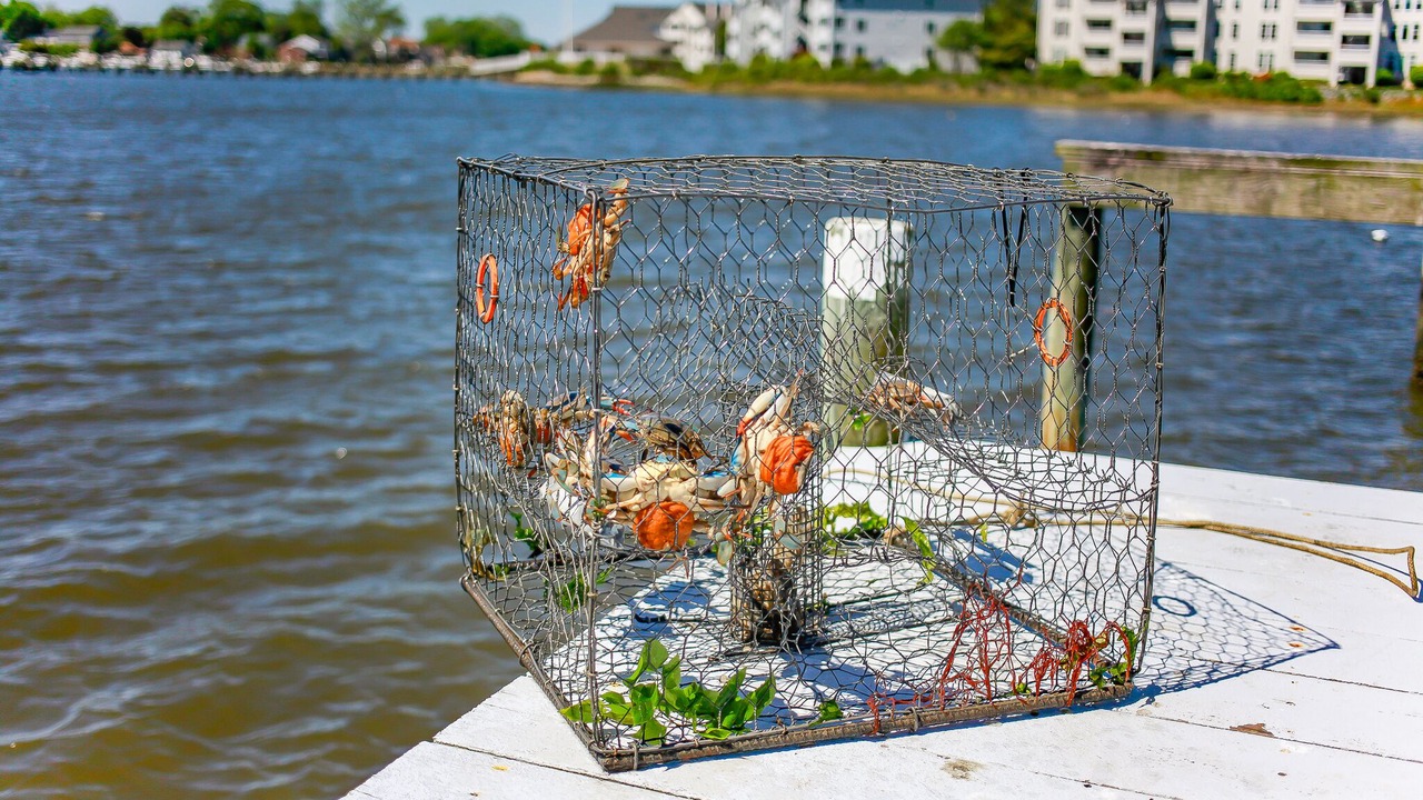 Photo of Outdoor in Hampton