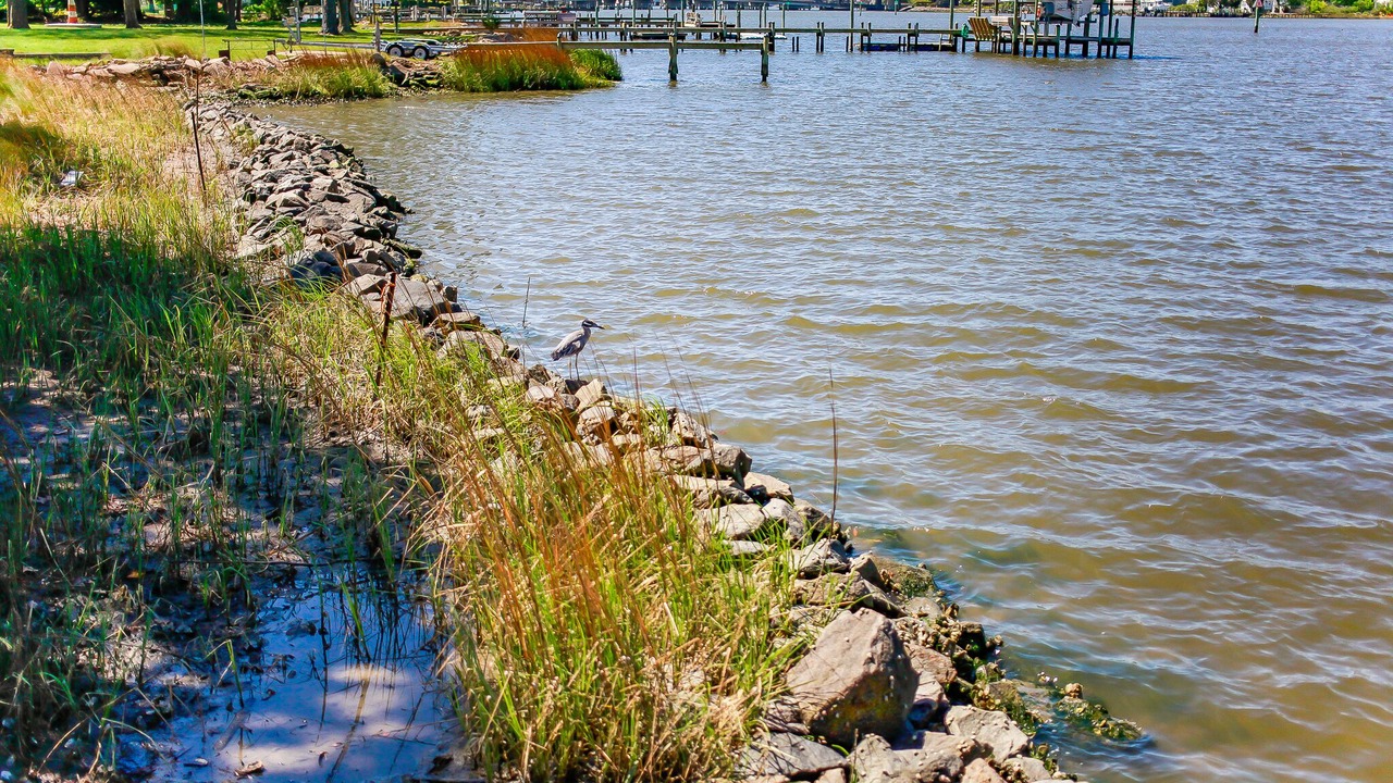 Photo of Others in Hampton