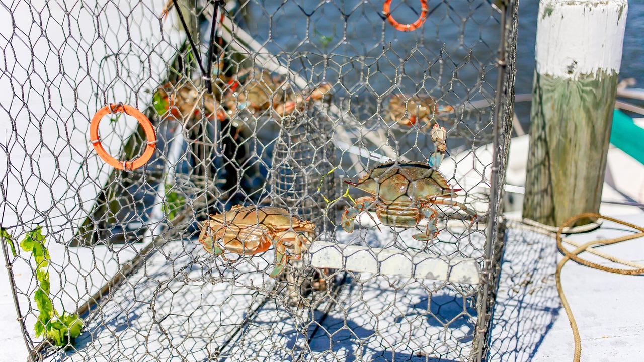 Photo of Outdoor in Hampton