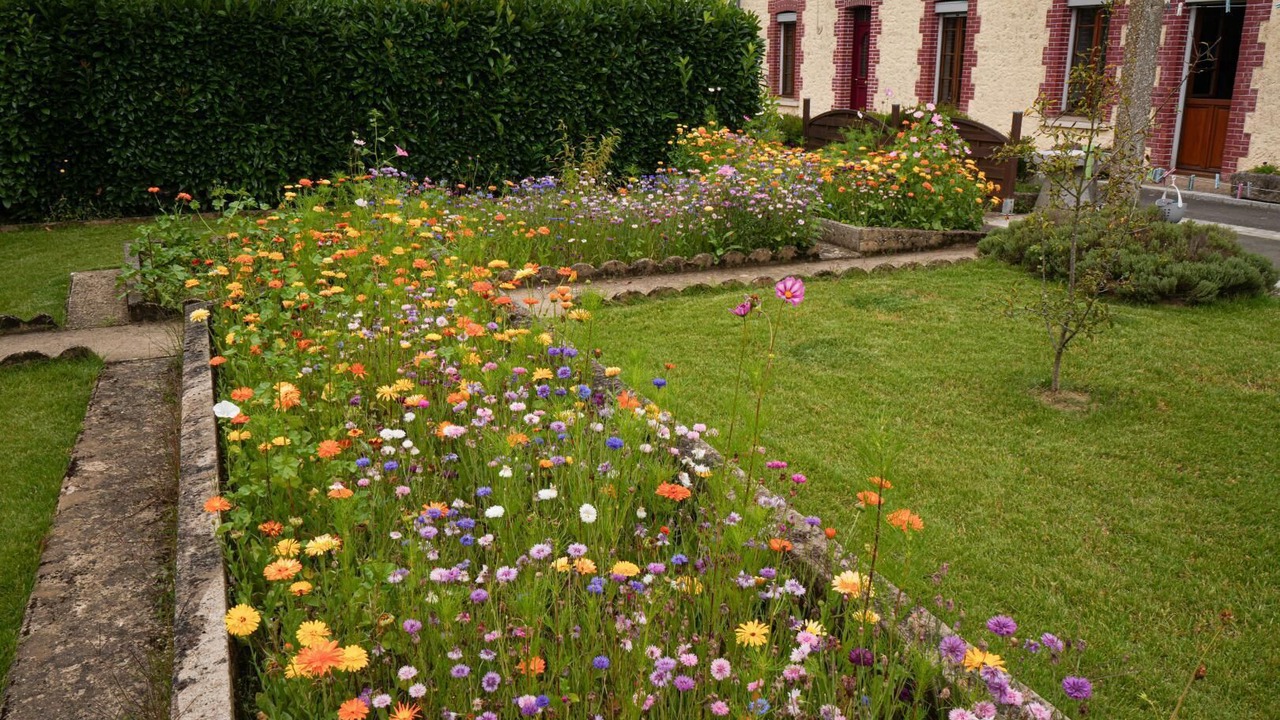 Photo of Outdoor in Montreuil-sur-Ille