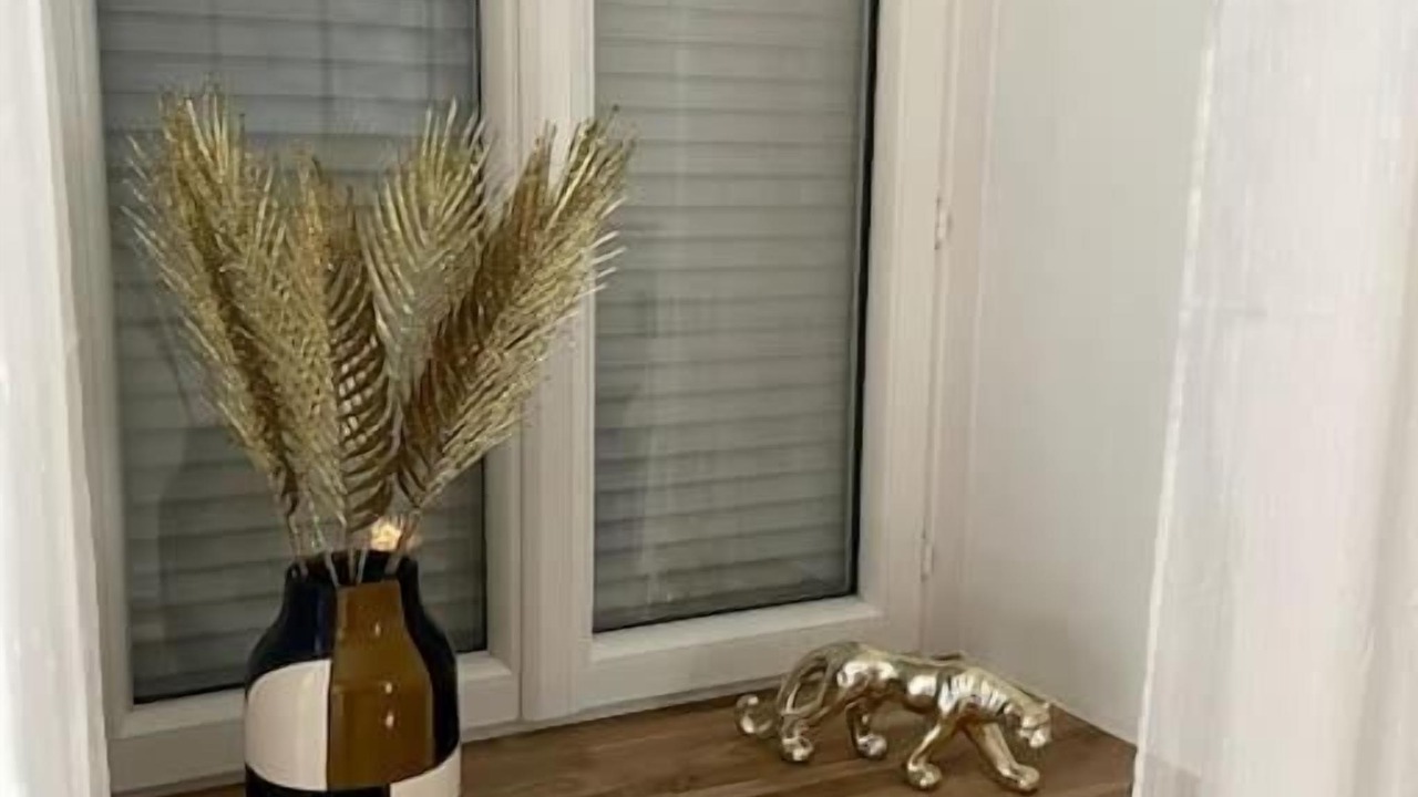 Photo of Others in Vierzon