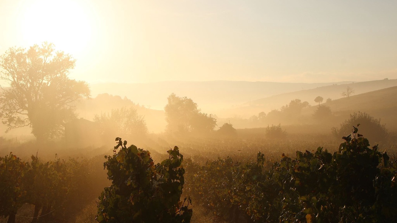 Photo of Outdoor in Lauraguel
