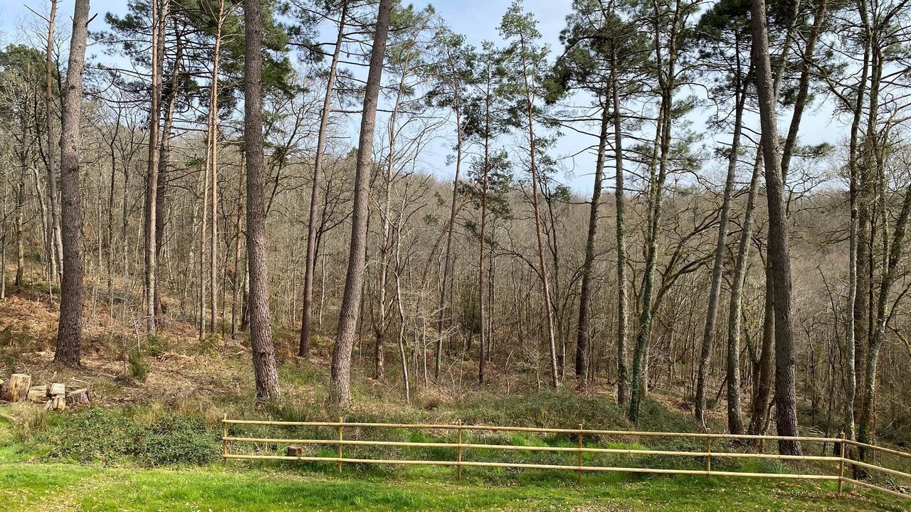 Photo of Others in Lamonzie-Montastruc