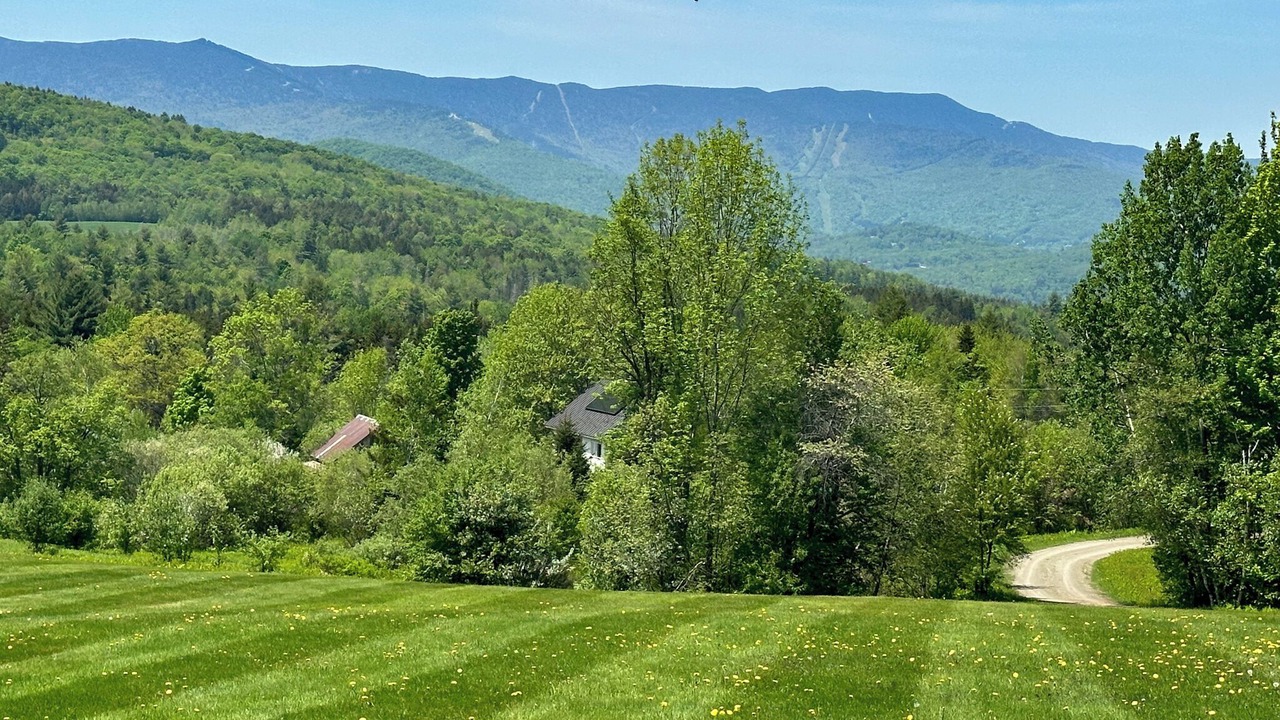 Photo of Outdoor in Warren