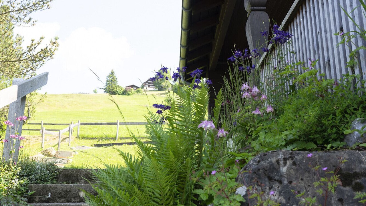 Photo of Outdoor in Wildhaus-Alt St. Johann