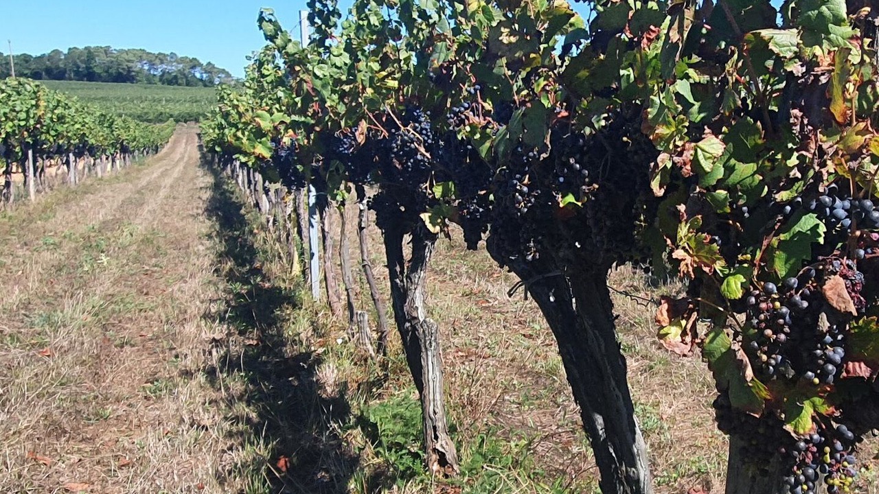Photo of Outdoor in Montcuq