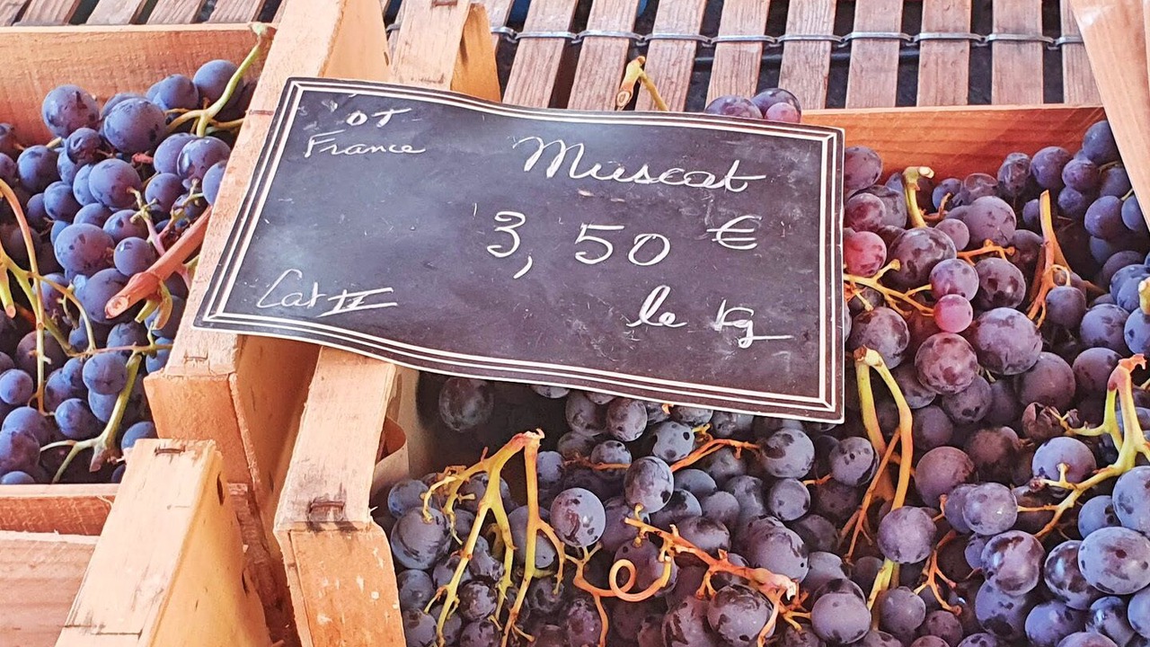 Photo of Others in Montcuq