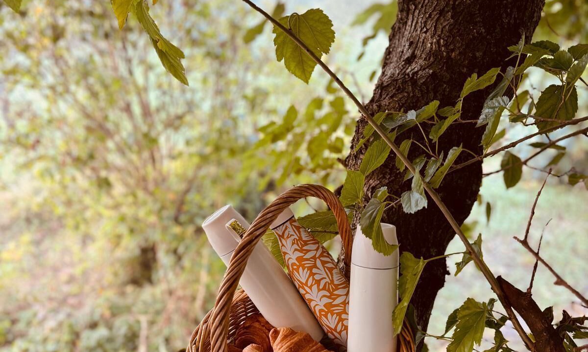 Photo of Others in La Motte-Saint-Jean