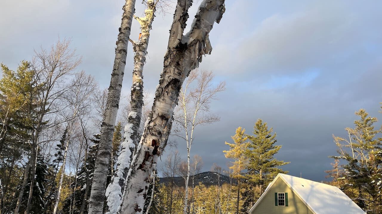 Photo of Others in Ray Brook