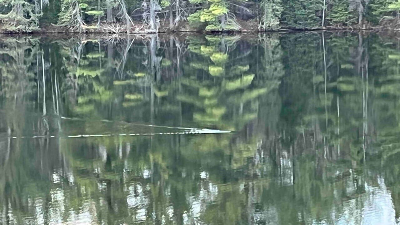 Photo of Others in Ray Brook