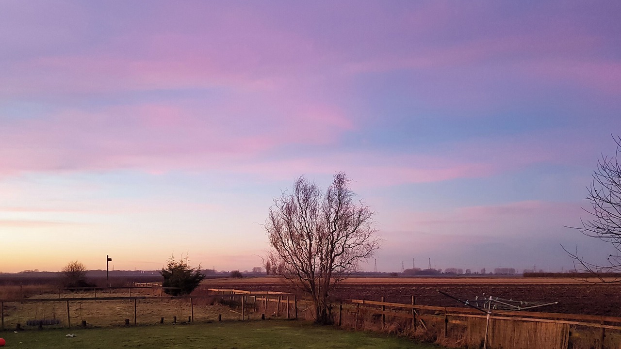 Photo of Outdoor in Tilney Fen End