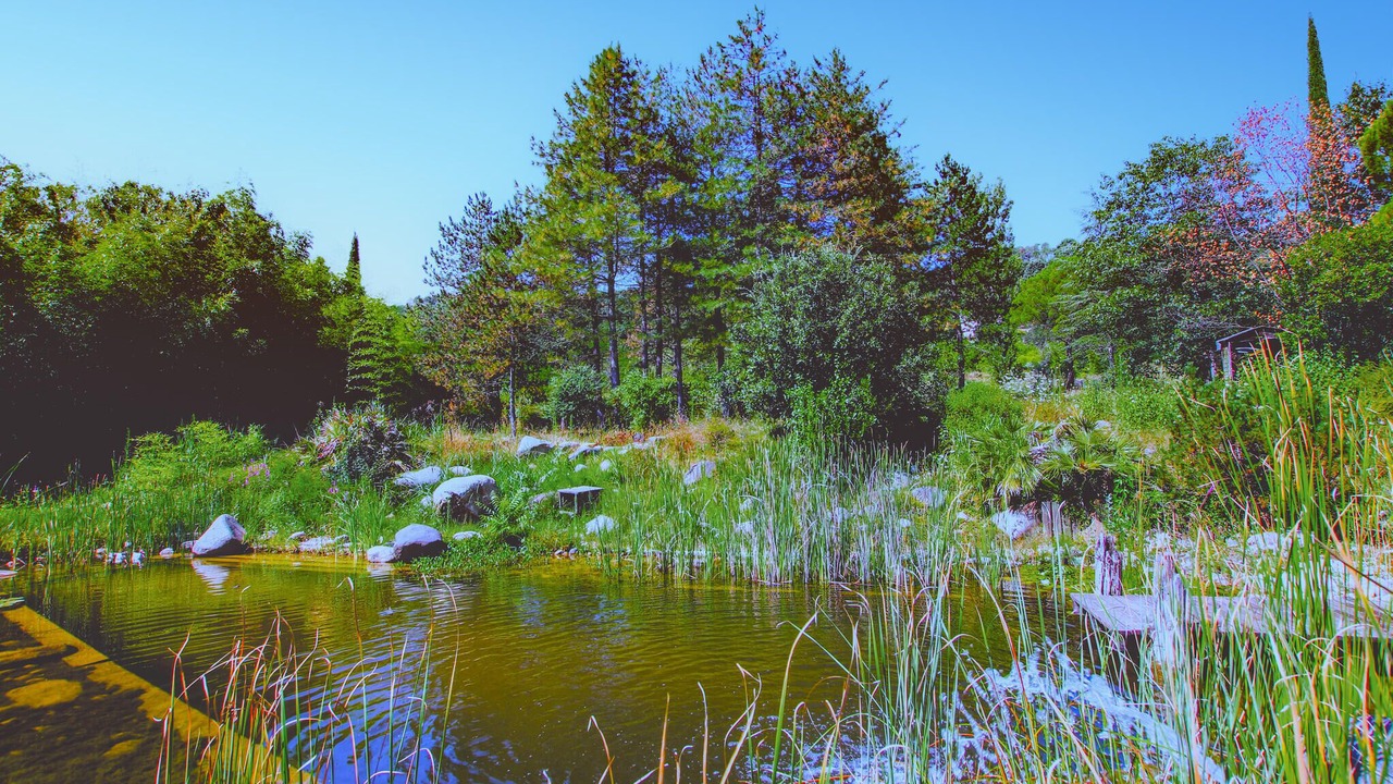 Photo of Others in Aubenas