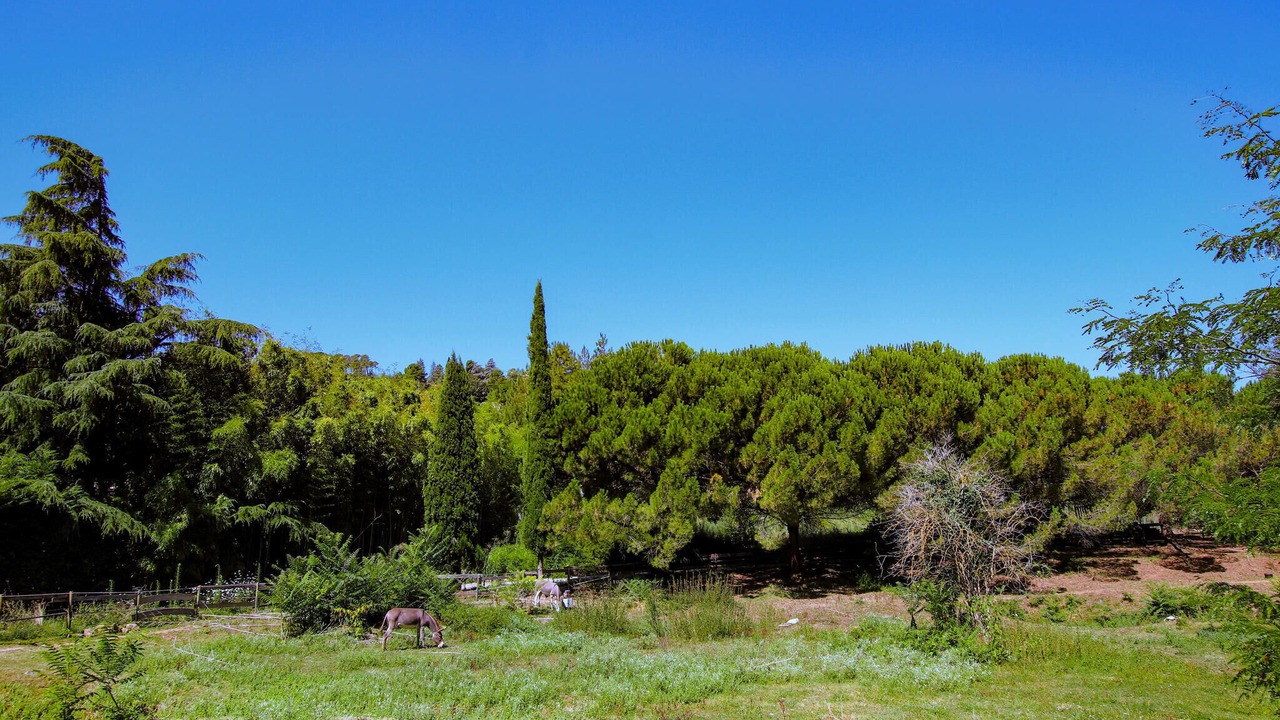 Photo of Others in Aubenas