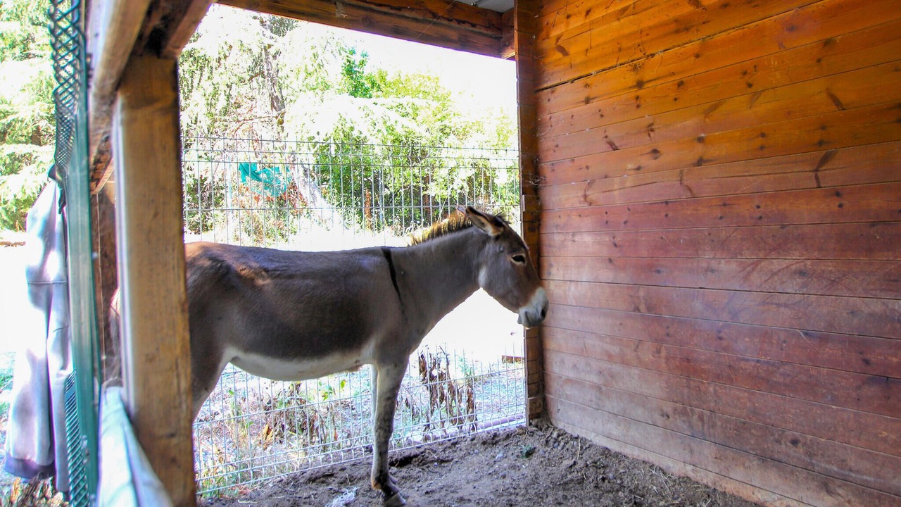 Photo of Others in Aubenas