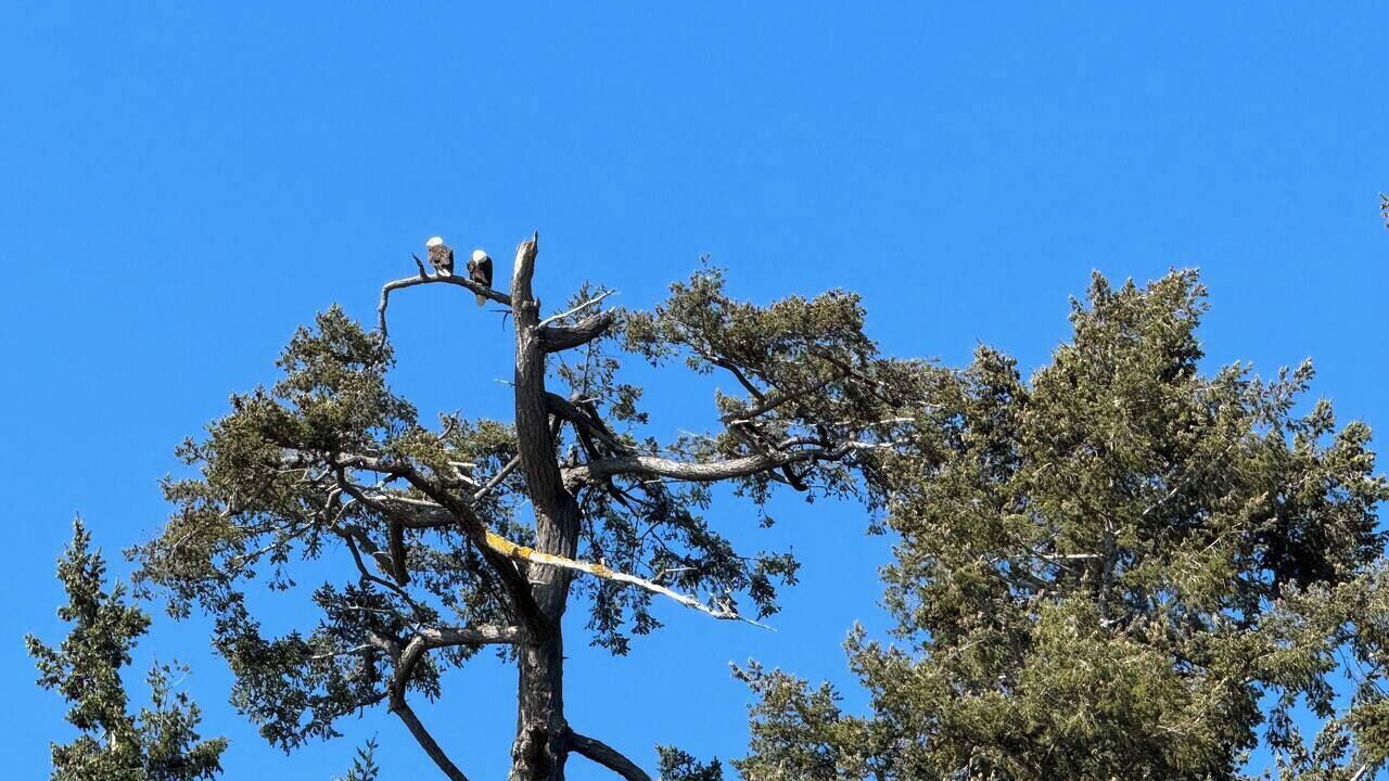 Photo of Others in Camano Island