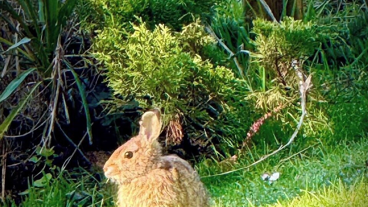 Photo of Others in Camano Island