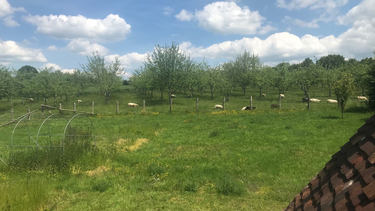 Photo of Outdoor in Dance