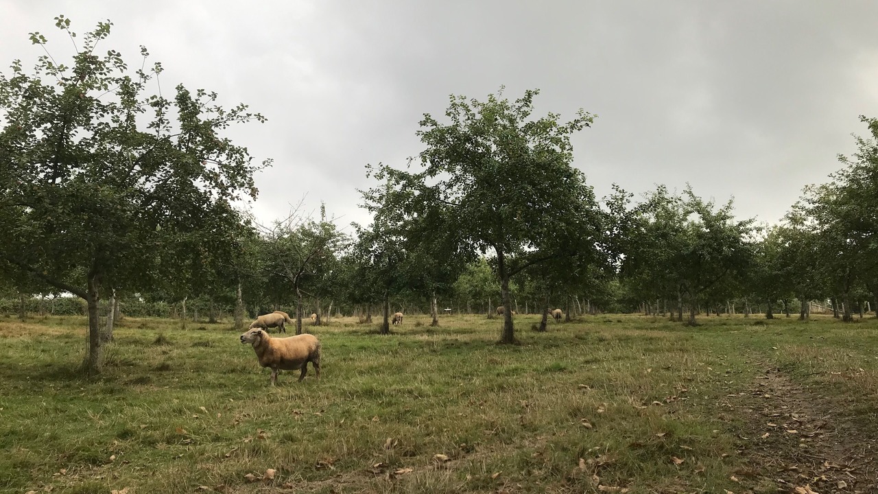 Photo of Others in Dance