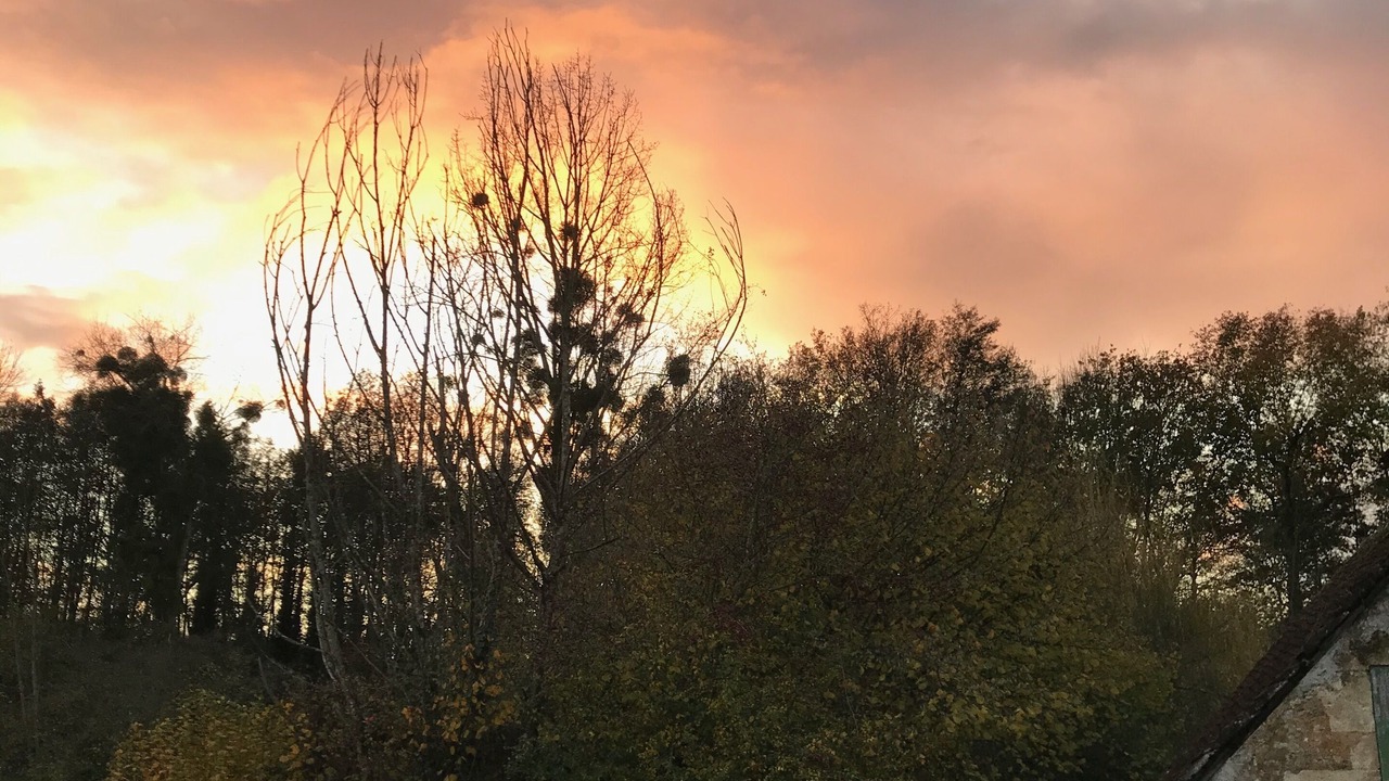 Photo of Others in Dance