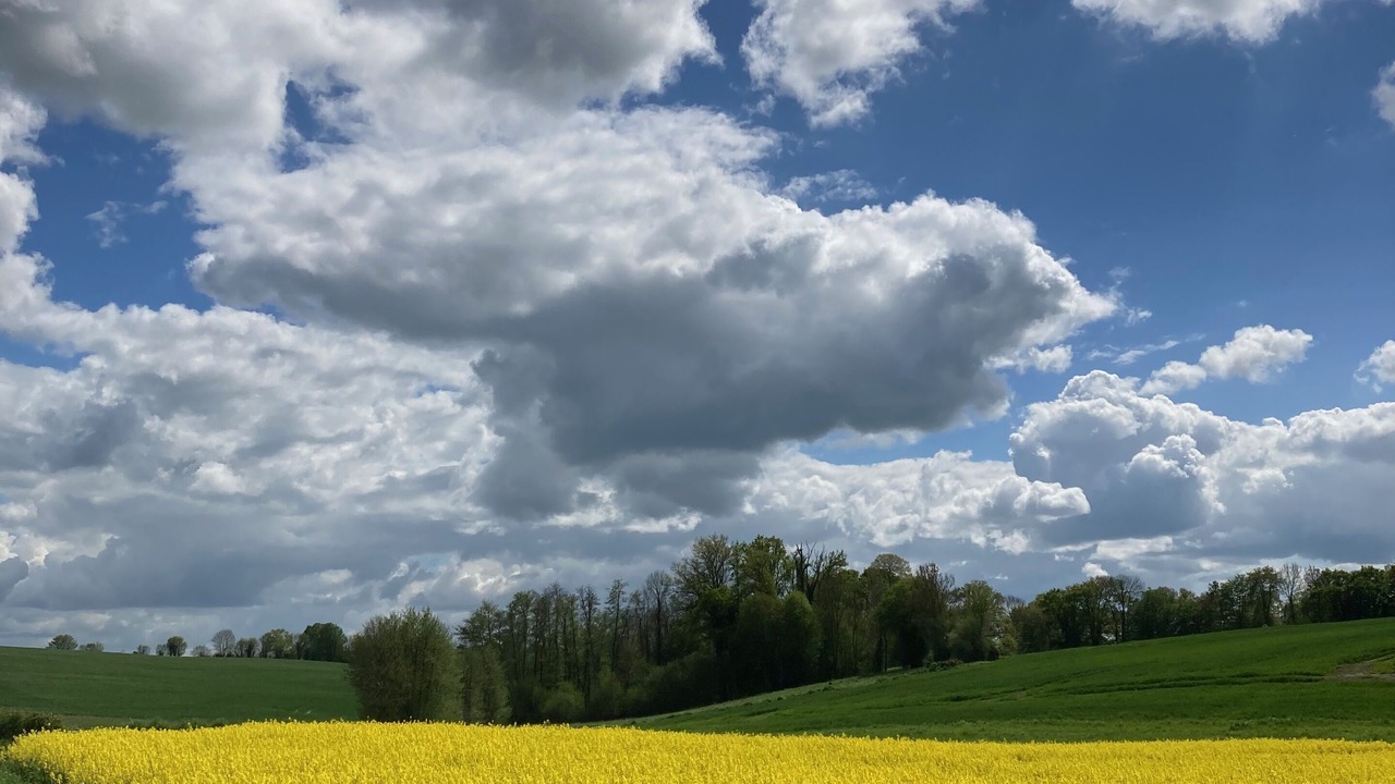 Photo of Others in Dance