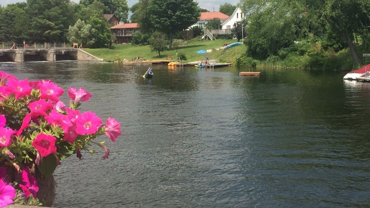 Photo of Others in Coboconk