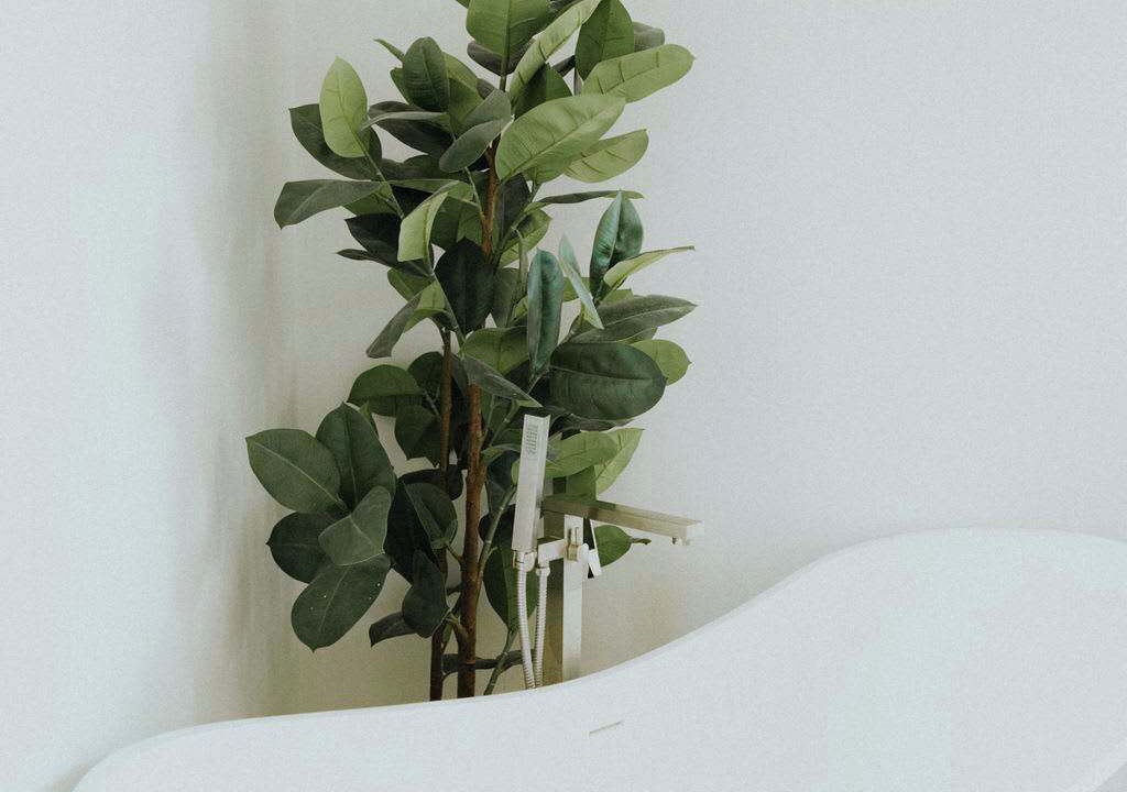 Photo of Bathroom in Shell Island