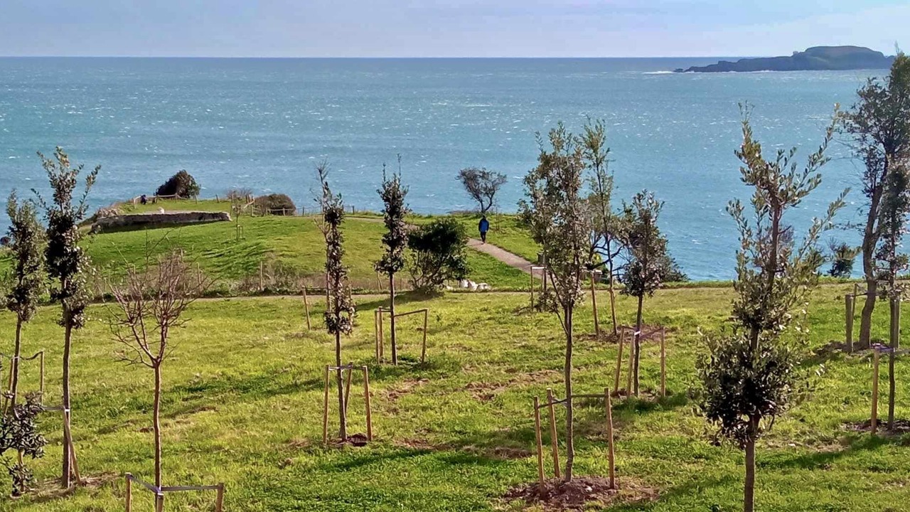 Photo of Outdoor in Bermeo