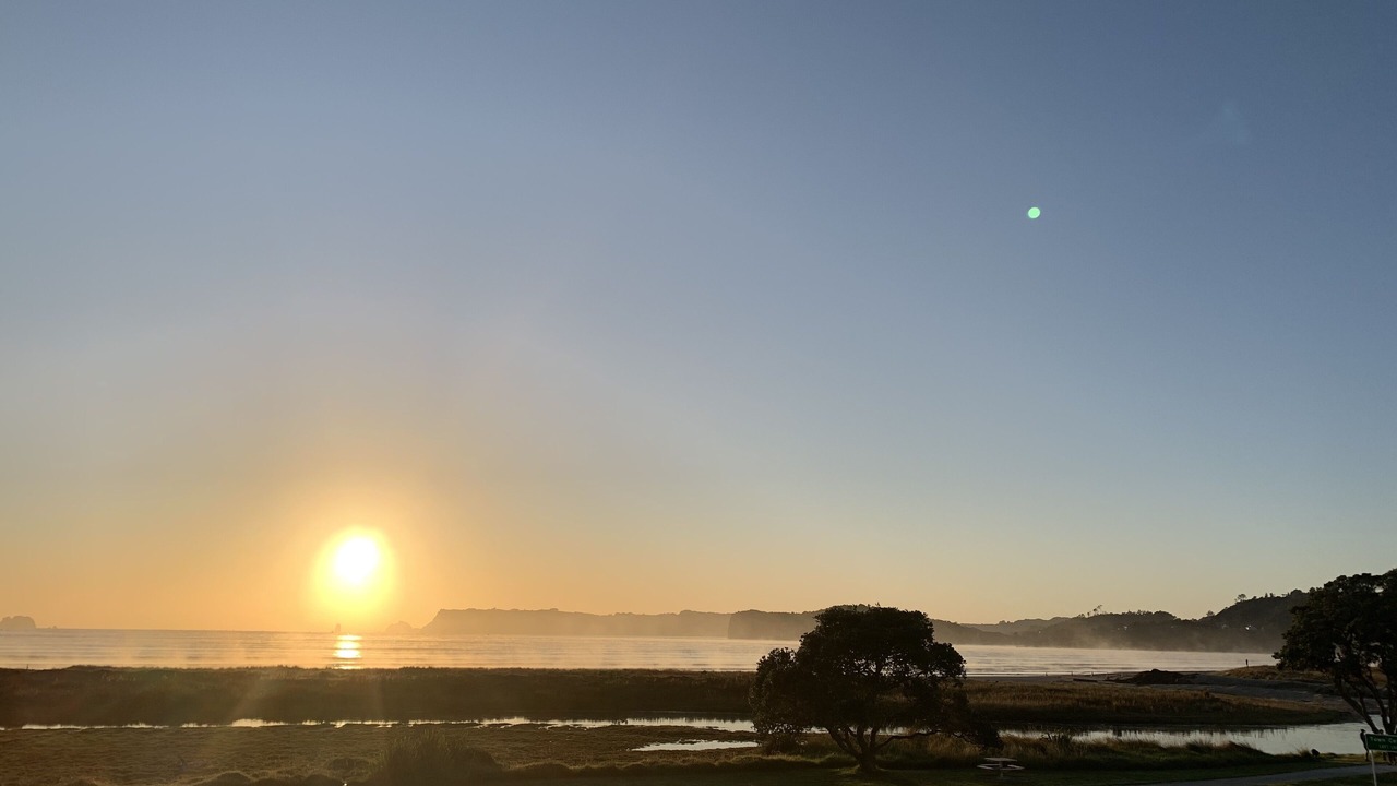 Photo of Others in Whitianga