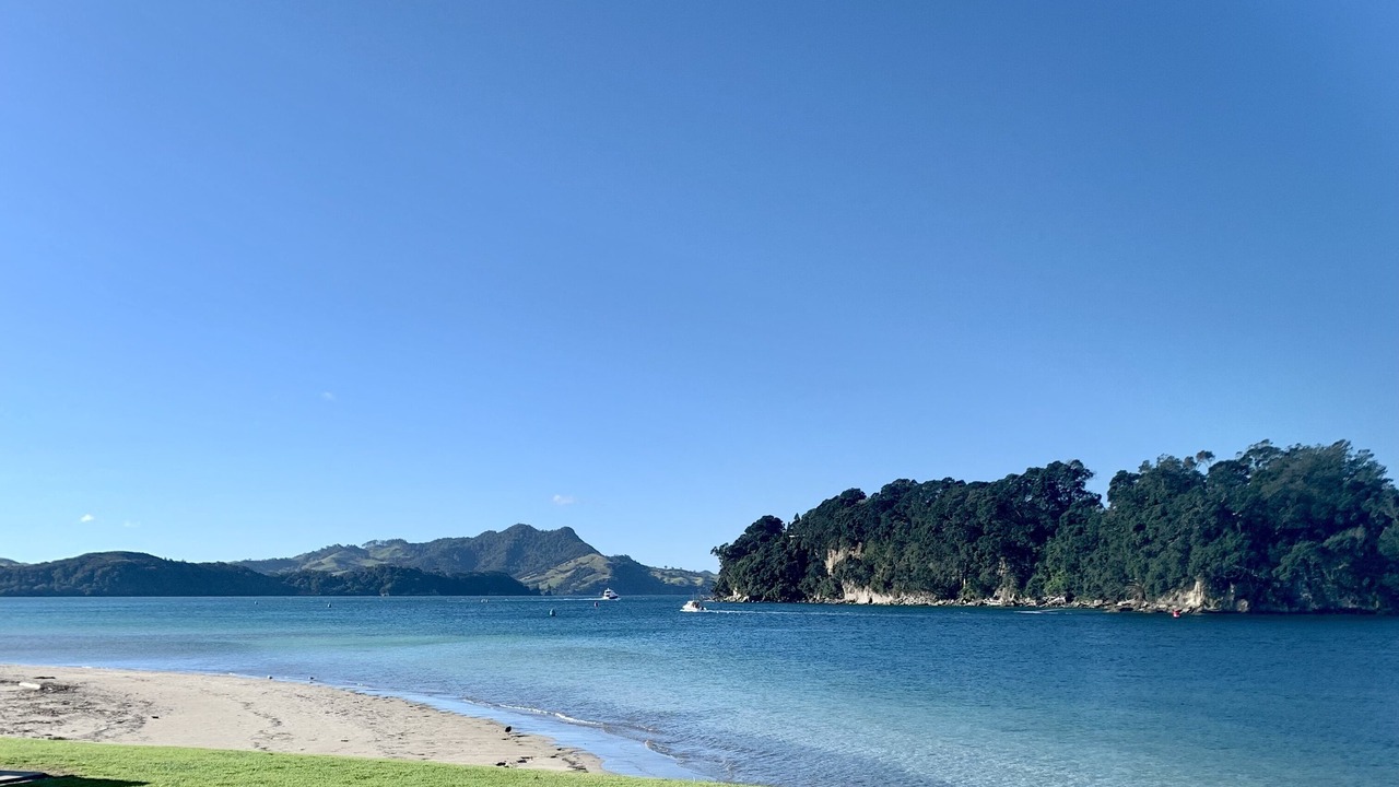 Photo of Others in Whitianga