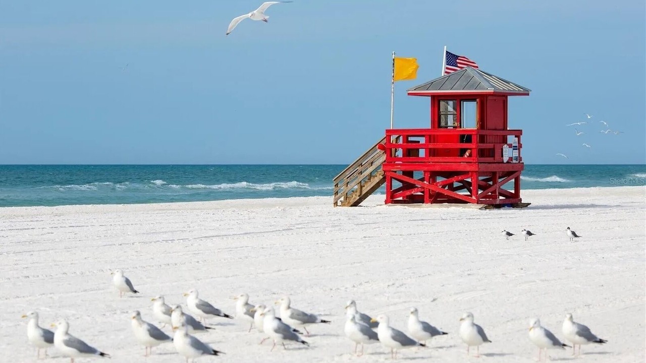 Photo of Others in Sarasota