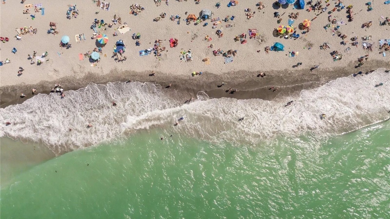 Photo of Others in Sarasota