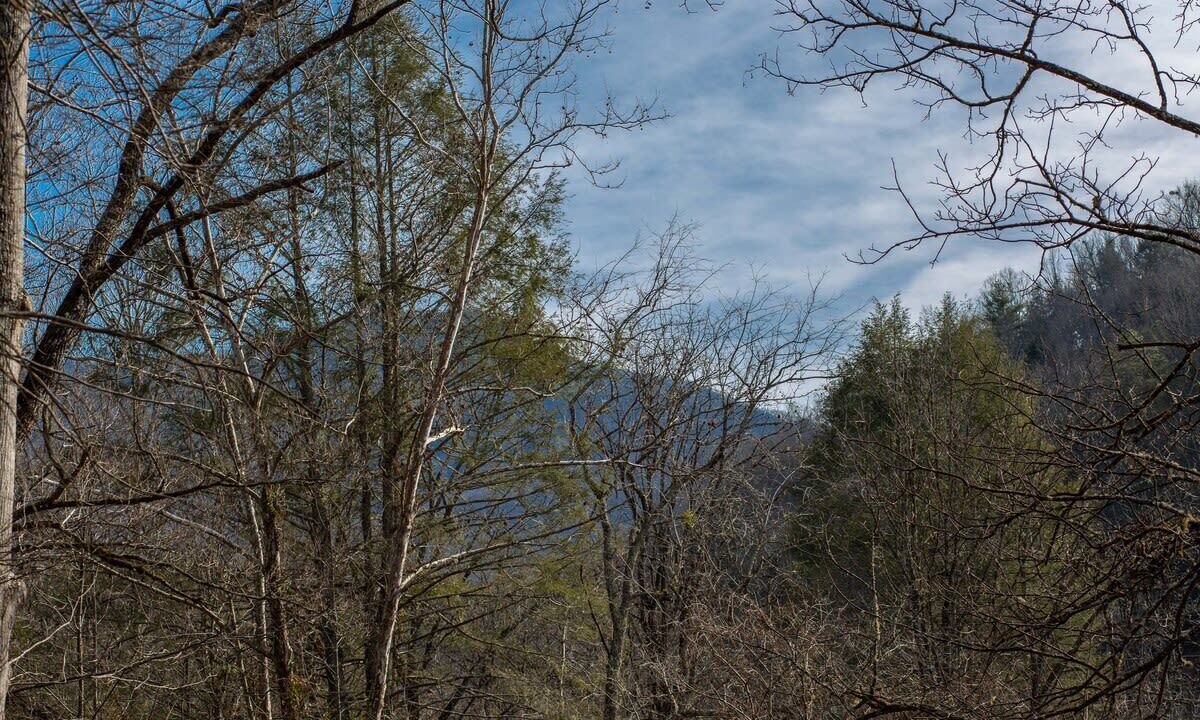 Photo of Outdoor in Pittman Center