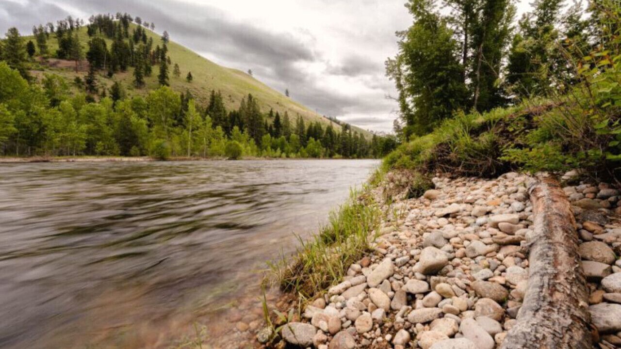 Photo of Others in Darby