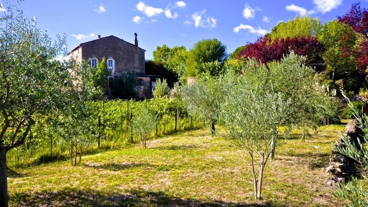 Photo of Outdoor in Cazedarnes