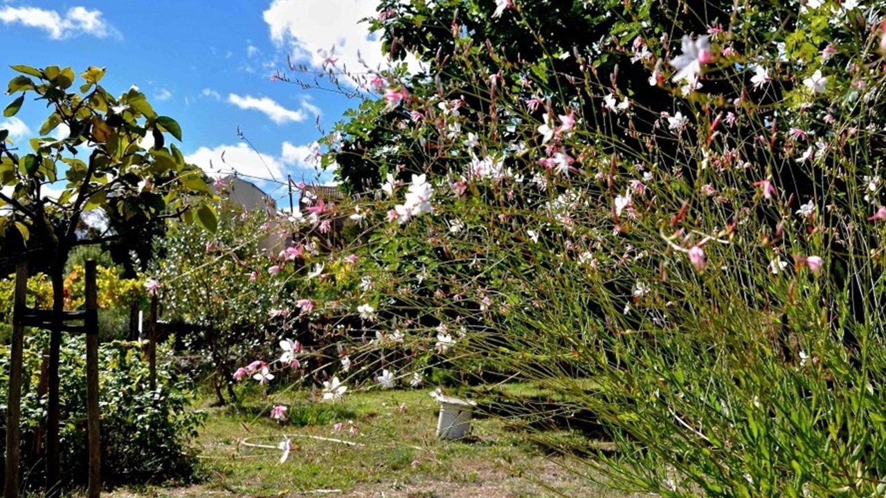 Photo of Outdoor in Cazedarnes