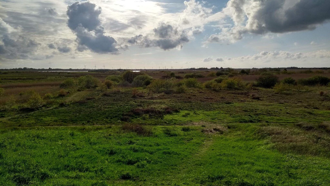 Photo of Others in Hojer