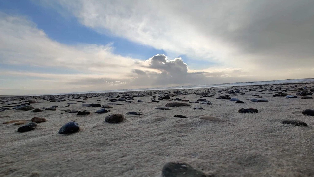 Photo of Others in Henne Strand