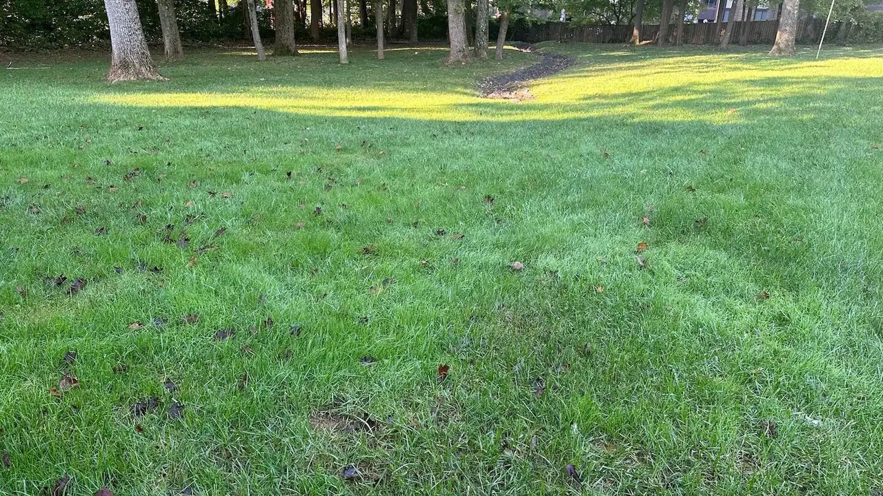 Photo of Others in Oakton