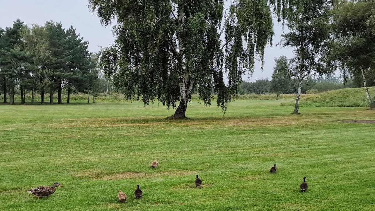 Photo of Others in Idestrup