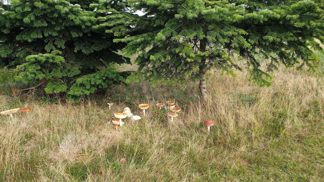 Photo of Others in Idestrup