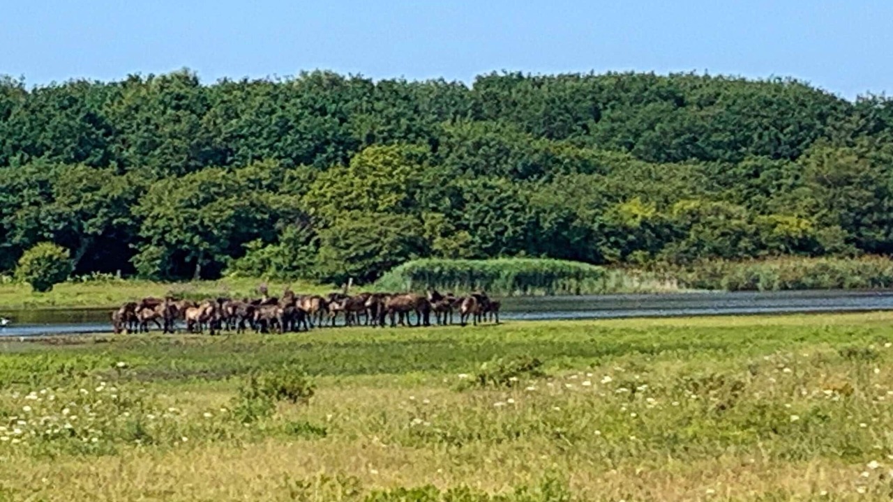 Photo of Others in Bagenkop