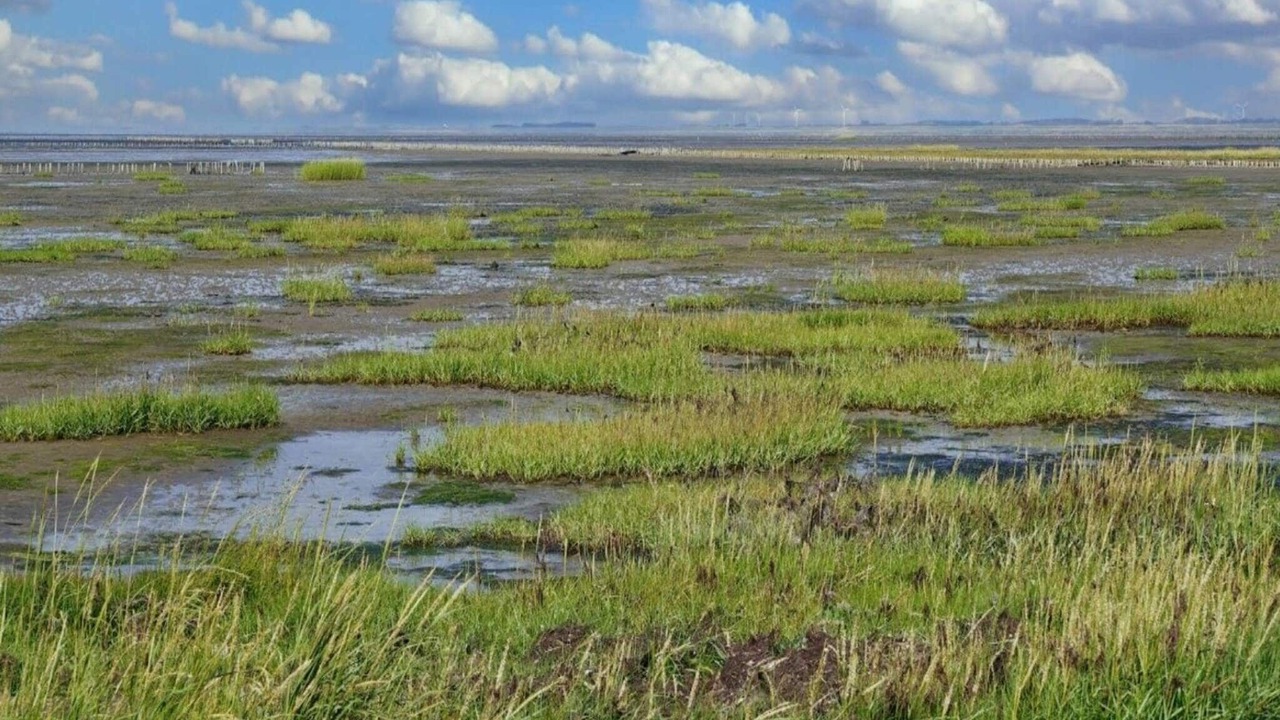 Photo of Others in Toftum