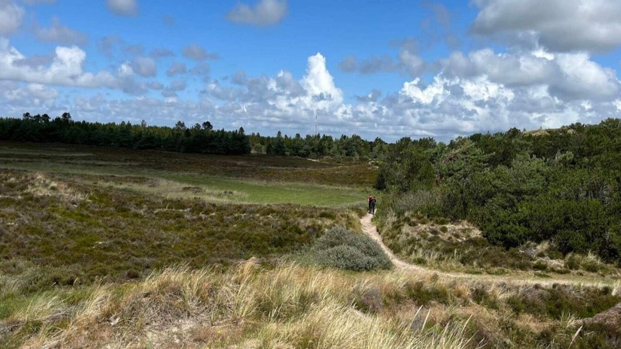 Photo of Others in Toftum