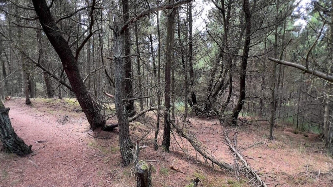 Photo of Others in Toftum