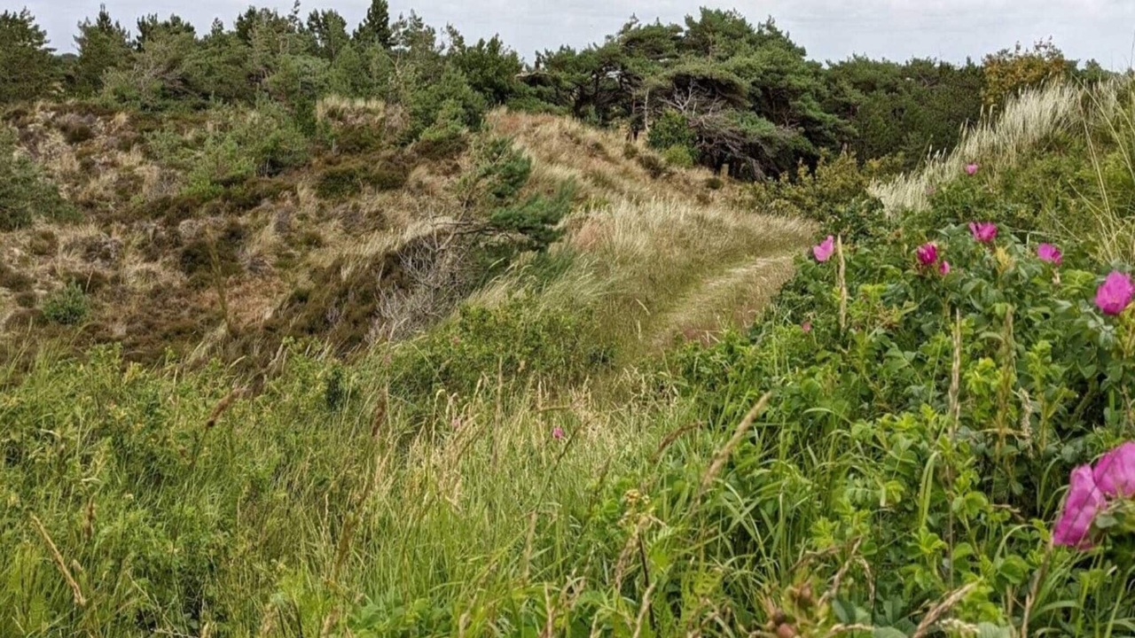 Photo of Others in Toftum