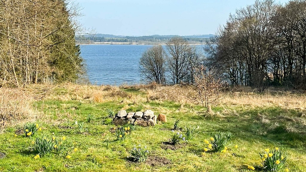 Photo of Others in Thorsoe