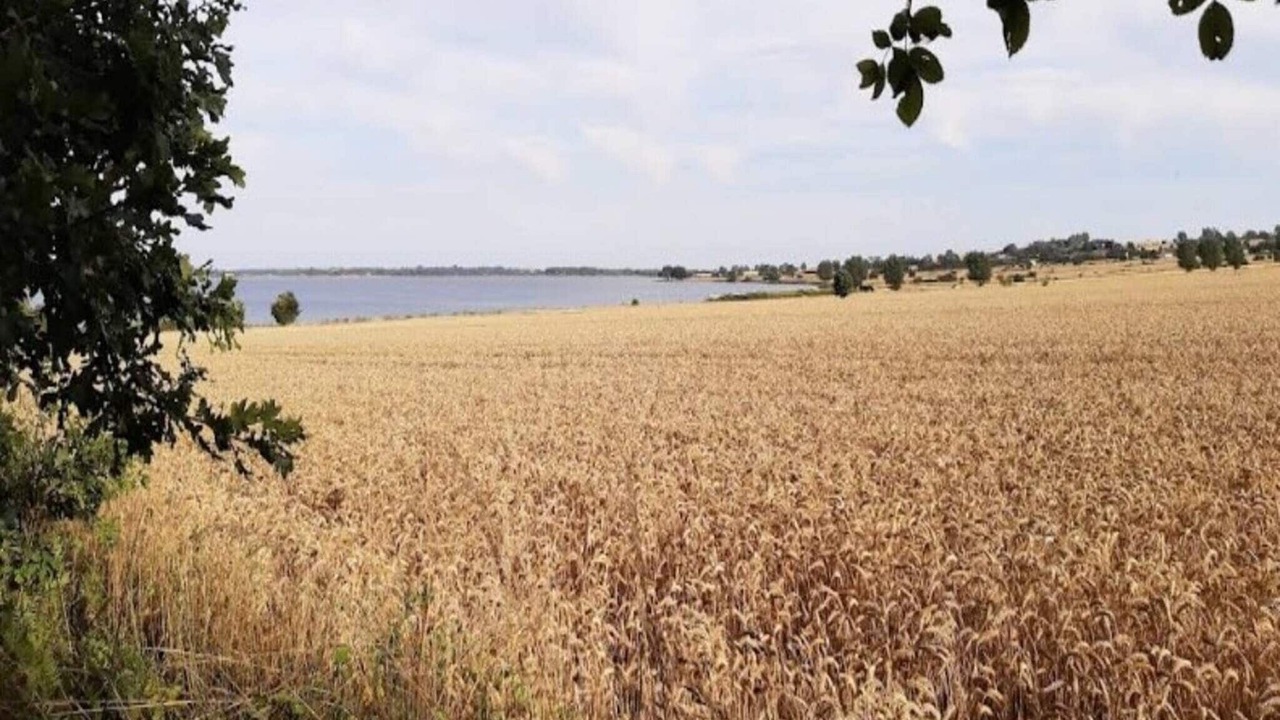 Photo of Outdoor in Aeroskobing