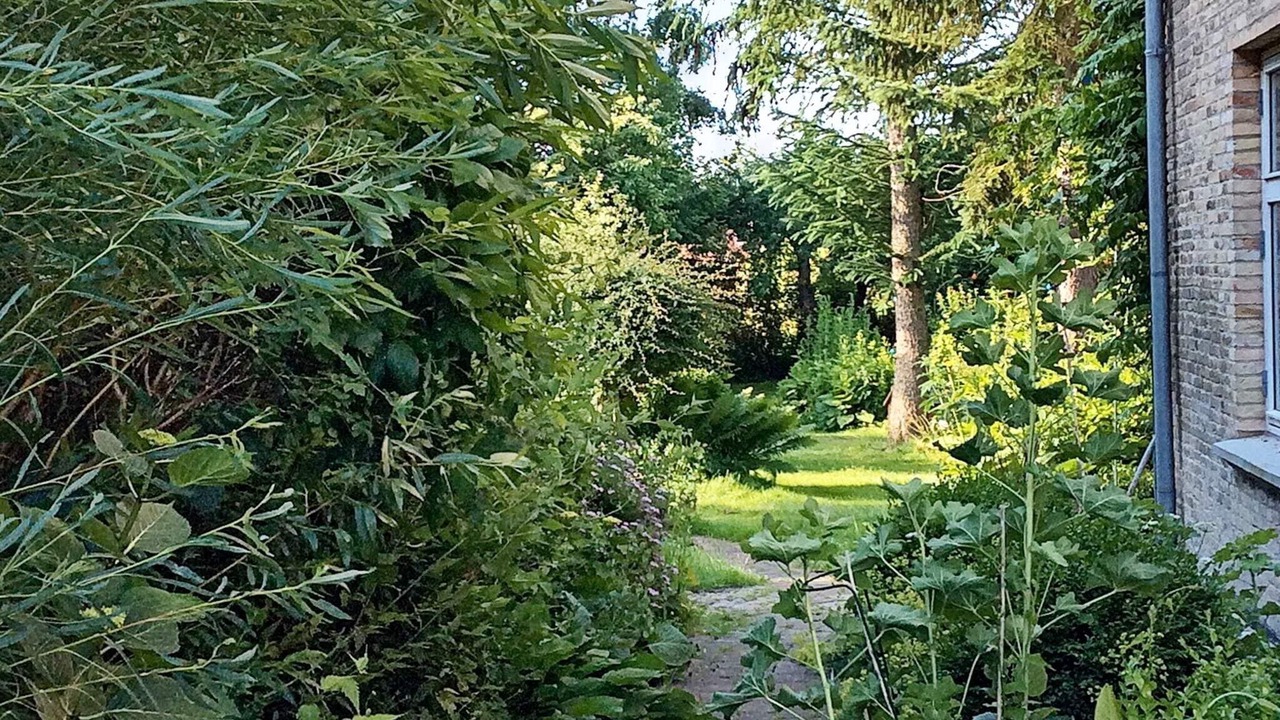 Photo of Outdoor in Sønderborg