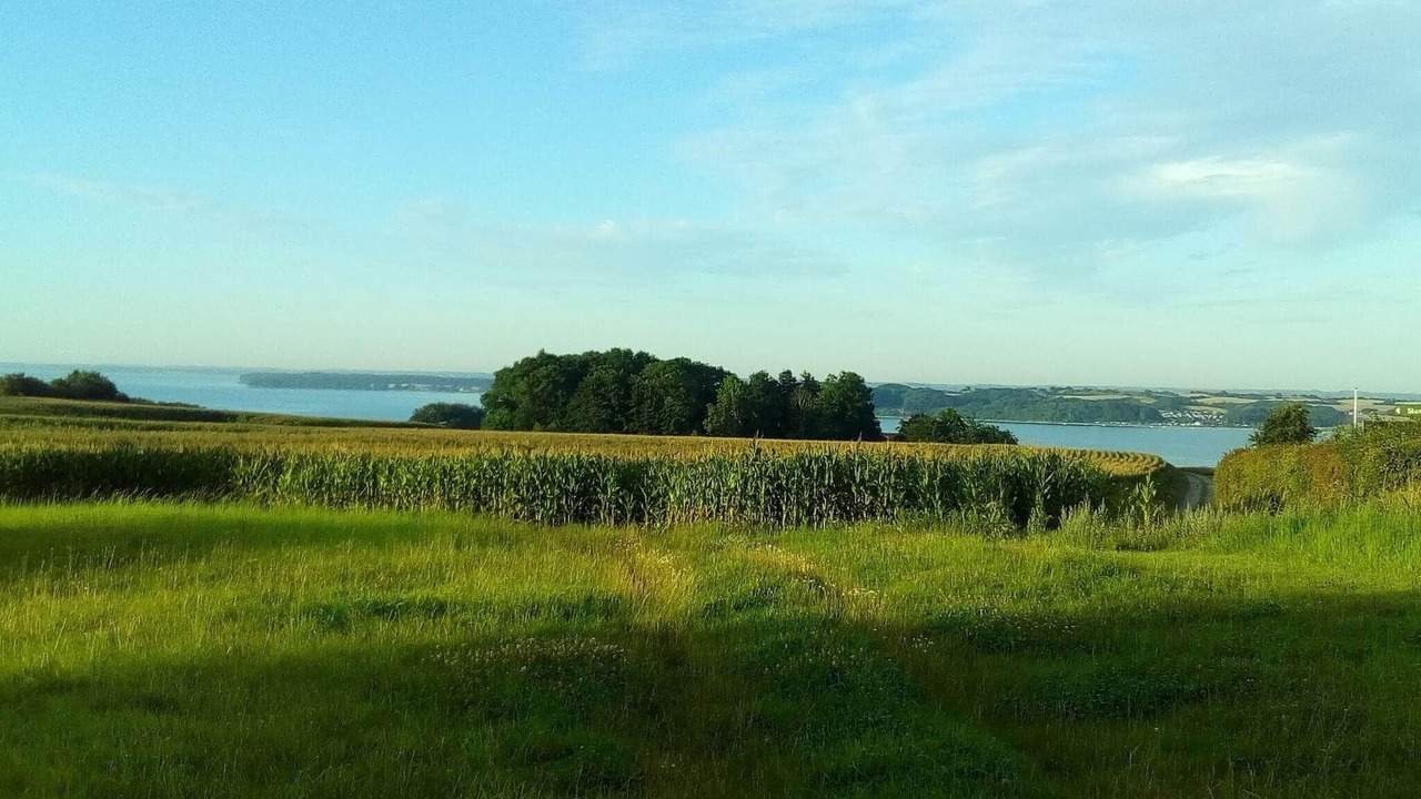Photo of Others in Sønderborg